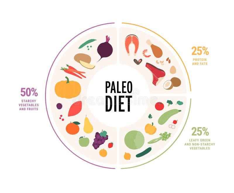 The Paleo diet wheel — 50% starchy vegetables and fruits, 25% protein and fats, 25% leafy greens and non-starchy vegetables
