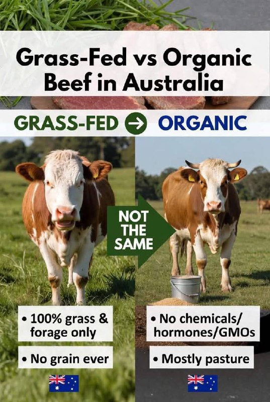 Grass-fed versus organic beef in Australia